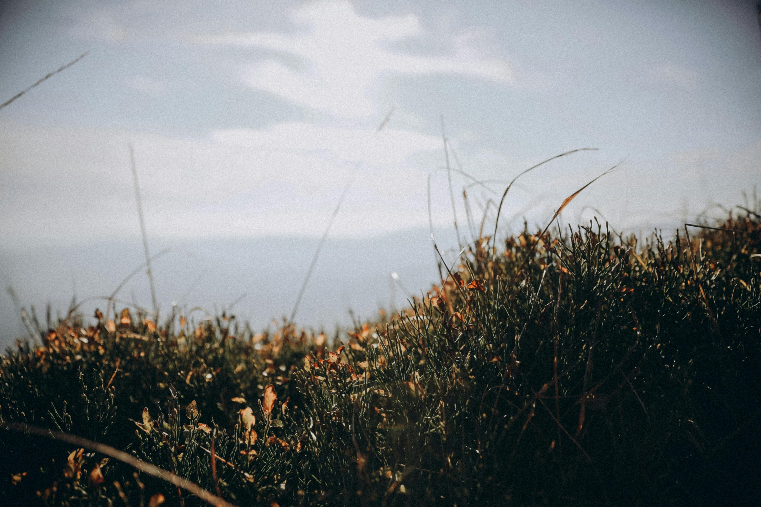 How To Avoid Common Pitfalls When Buying Rural Land