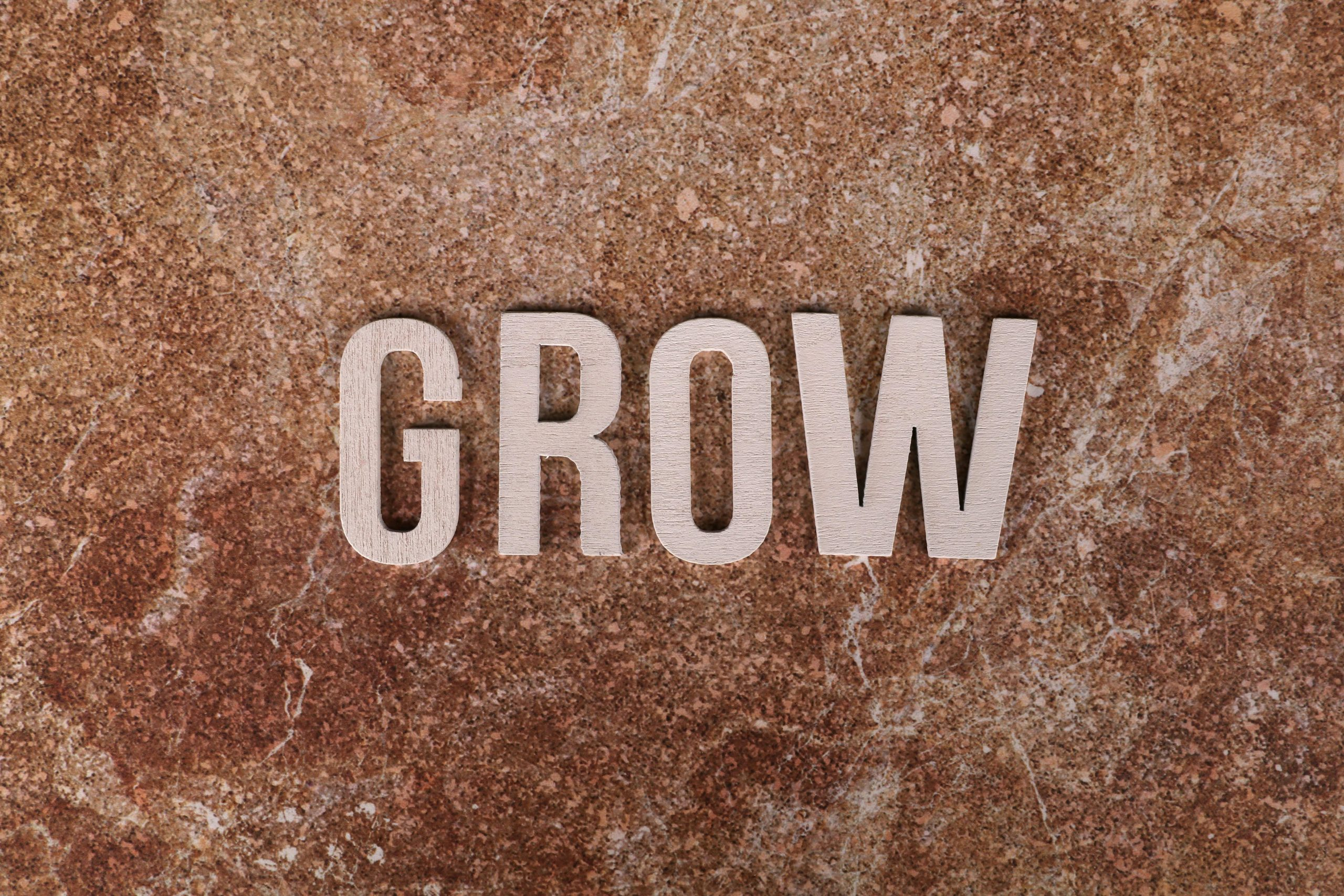 Why Physical Education Is Crucial For Brain Development Success